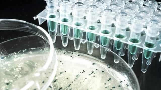 1 Growing Biotech Stock to Buy Today With $1,000 and Hold for 5 Years or More