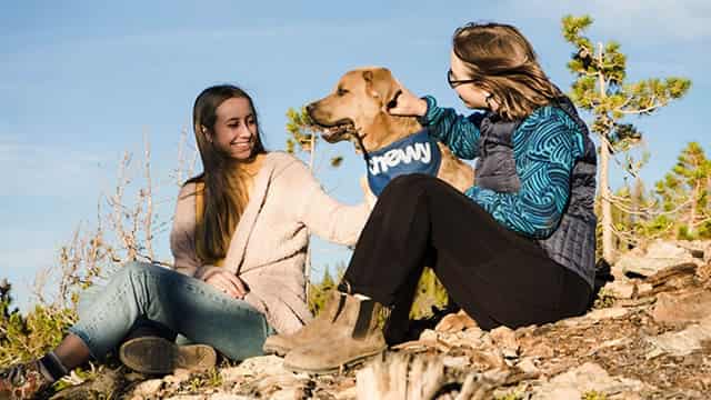 Can Chewy Maintain Its Momentum in Active Customer Growth?