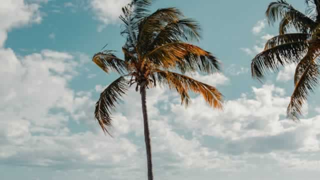 Jefferies' David Katz bullish call for cruises