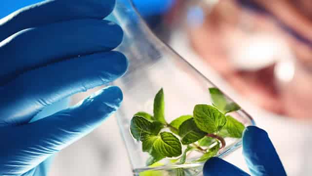 5 Biotech Stocks Likely to Outperform as Industry Prospects Look Bright