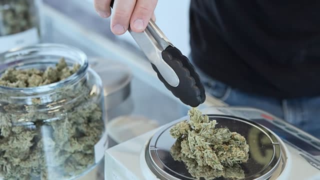 Canopy Growth Corporation (CGC) Falls More Steeply Than Broader Market: What Investors Need to Know