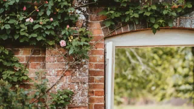 Central Garden (CENTA) Upgraded to Strong Buy: Here's What You Should Know