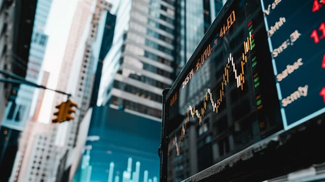 GameStop vs. Beyond Meat: What Can These Meme Stock Rallies Teach Us?