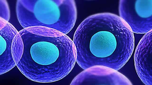 Germany's Merck KGaA in $3.9 bln deal to acquire US biotech firm SpringWorks
