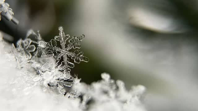 Snowflake: Palantir's Growth At A Fraction Of The Price (Rating Upgrade)