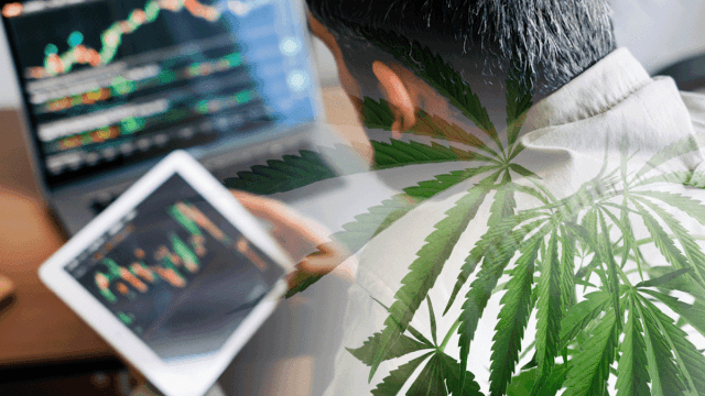 Best Ancillary Cannabis Stocks Poised for Growth Before Q4 2024