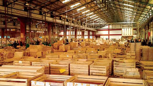 Bullish Action In Weyerhaeuser Is A Signal For Lumber