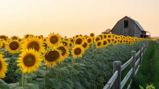 Corteva, Inc. (CTVA) Reports Q3 Earnings: What Key Metrics Have to Say