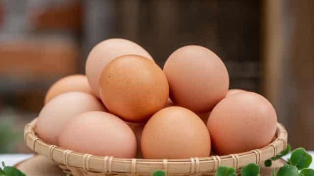 Wall Street Analysts Think Vital Farms (VITL) Is a Good Investment: Is It?