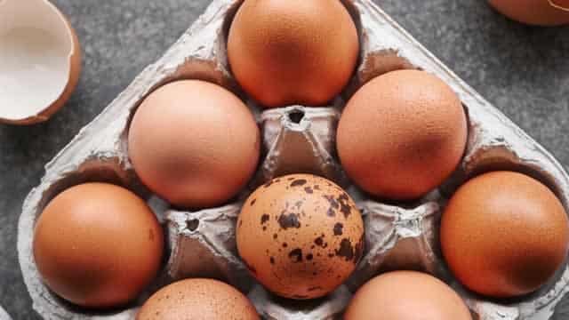 Cal-Maine Foods Stock Soars 67% in a Year: Can It Sustain the Rally?