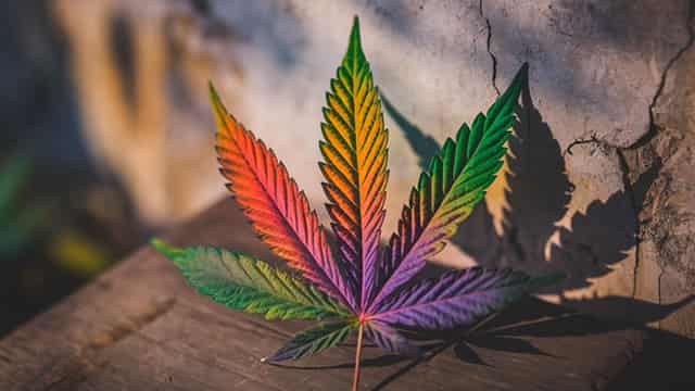 Tilray's stock has been below $1 for months. Here's how it plans to fix that.