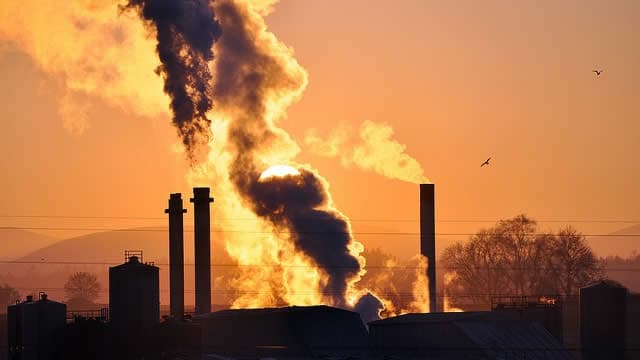 Is Federal Signal (FSS) Stock Outpacing Its Auto-Tires-Trucks Peers This Year?