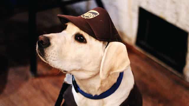 UPS Looks to Cut Costs to Mitigate Demand Woes: What's the Road Ahead?