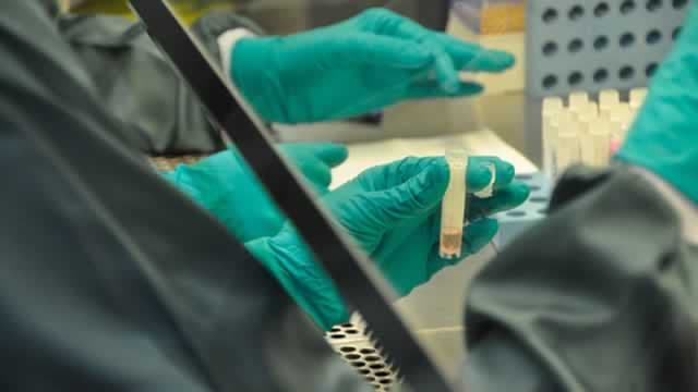 Wegovy's Next Step: Novo Nordisk Eyes Approval for Higher-Dose Treatment