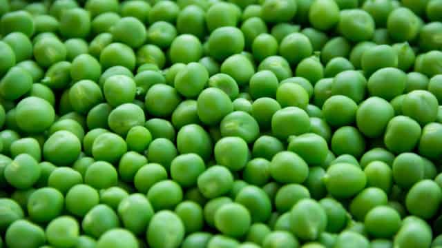 Utz Brands (UTZ) Meets Q1 Earnings Estimates