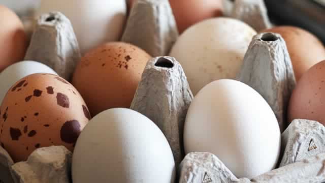 Cal-Maine Foods: Turning Volatility Into Long-Term Value, Plus Zero Debt