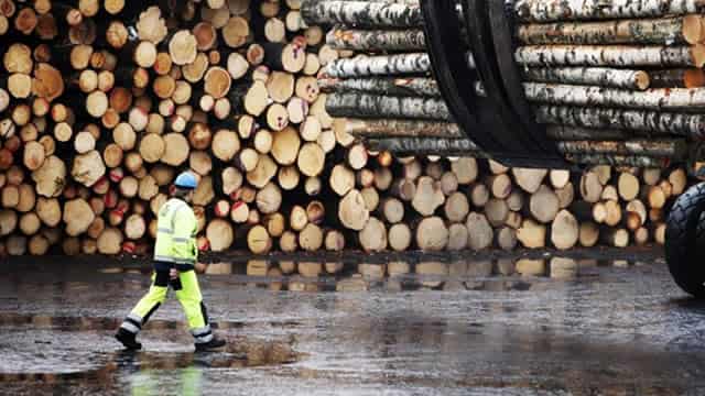 Weyerhaeuser: Seizing Market Share As Competitors Falter