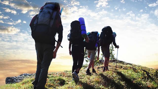 Dick's Sporting Goods (DKS) Falls More Steeply Than Broader Market: What Investors Need to Know