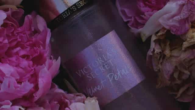 Victoria's Secret Faces Proxy Pressure After Sharp Stock Decline: Report