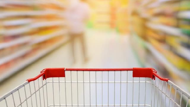 Is Albertsons Companies (ACI) Stock Undervalued Right Now?