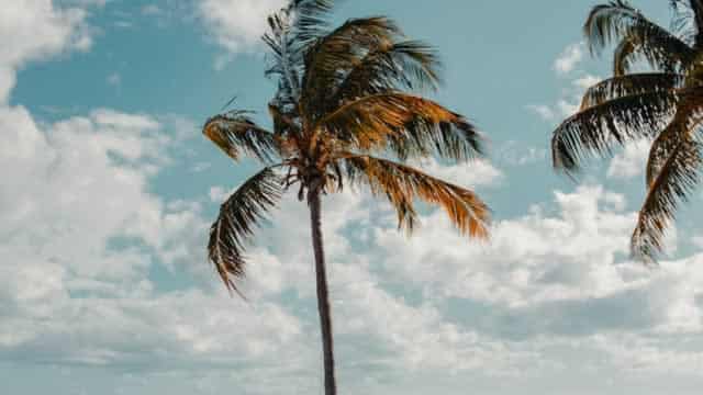 How Should You Play Royal Caribbean Stock Pre-Q1 Earnings Release?