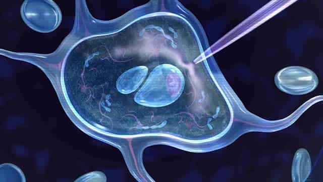 Strength Seen in Foghorn Therapeutics (FHTX): Can Its 9.5% Jump Turn into More Strength?