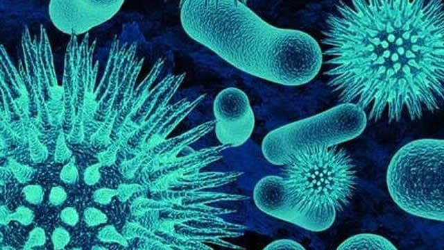 GSK unit sues AnaptysBio in row over Jemperli rights