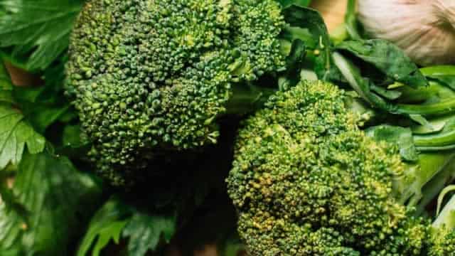 BioHarvest Sciences advances CDMO deal with major pharmaceutical company - ICYMI