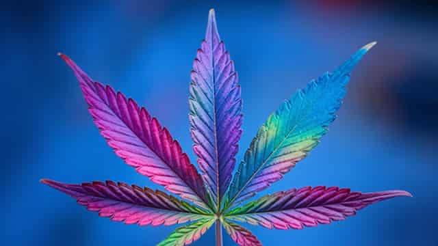 Organigram Lights Up Q2 With 74% Sales Surge, Profitable Turn