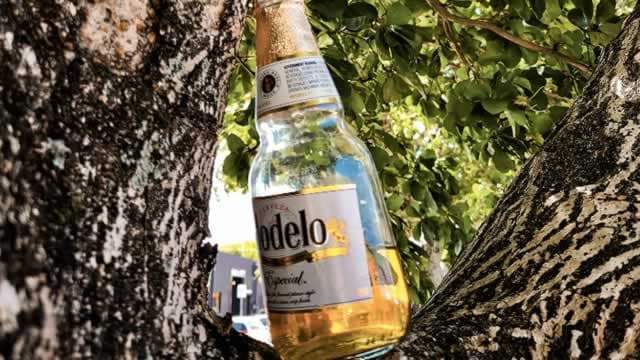 Investors Should Raise a Glass to Constellation Brands Stock for These 3 Reasons