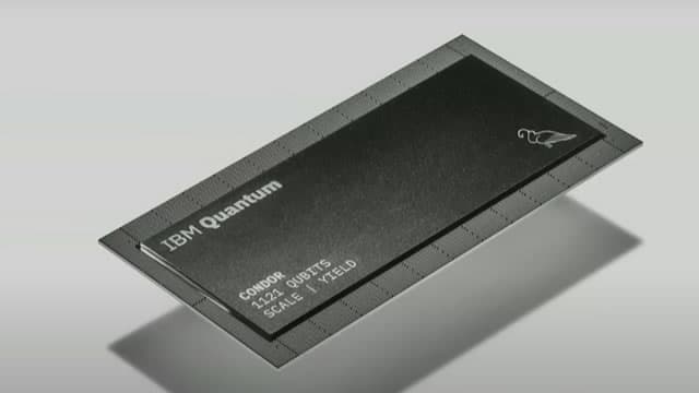 Can IBM Sustain a Healthy Profit Margin in the Software Segment?