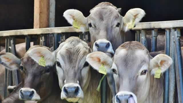 Are You Looking for a Top Momentum Pick? Why Phibro Animal Health (PAHC) is a Great Choice