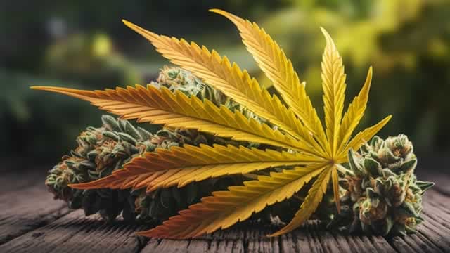 Three Canadian Cannabis Stocks Worth Watching This Week