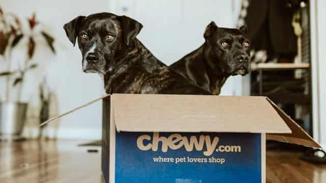 Why Chewy Stock Was Diving This Week