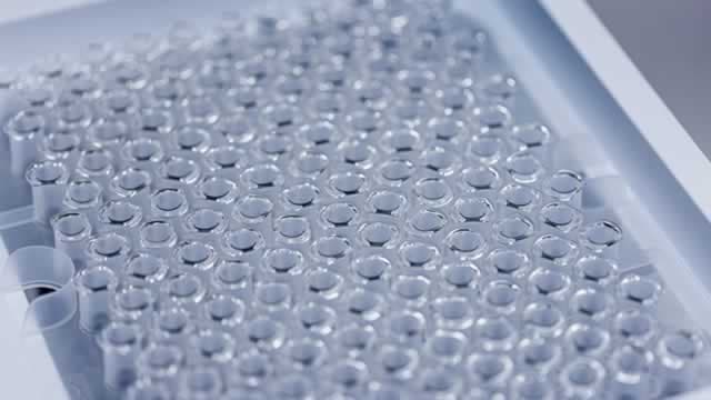 Why Novo Nordisk Stock Just Hit a 4-Year Low