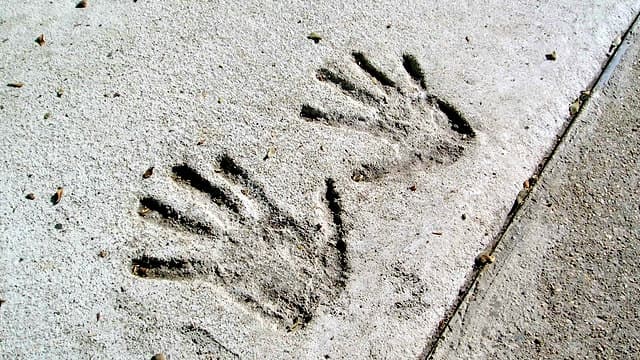 What Makes Cemex (CX) a New Buy Stock