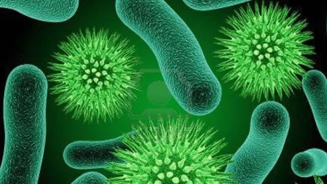 Pfizer Seeks To Exit BioNTech Investment After Lucrative Covid Vaccine Run