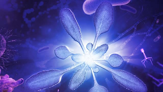 Why Is Sonnet BioTherapeutics Stock Trading Higher On Monday?