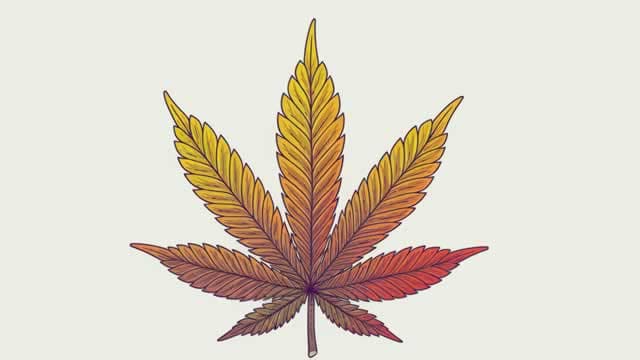 Aurora Cannabis: Downgrading On Regulatory Headwinds And Competitive Pressures - Hold
