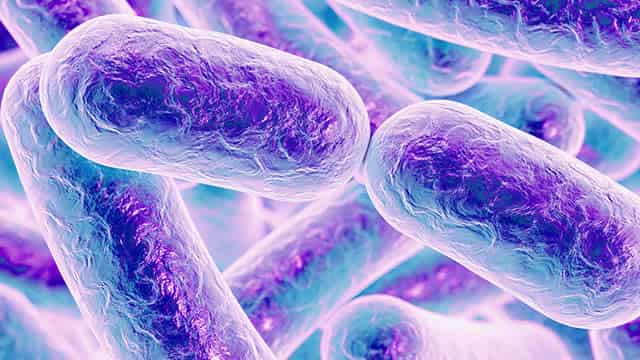 Immunic: A Strong Buy With Imminent Data Readout That Should Send Shares Higher