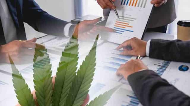 Top-Performing Marijuana Penny Stocks with Major Gains Last Week