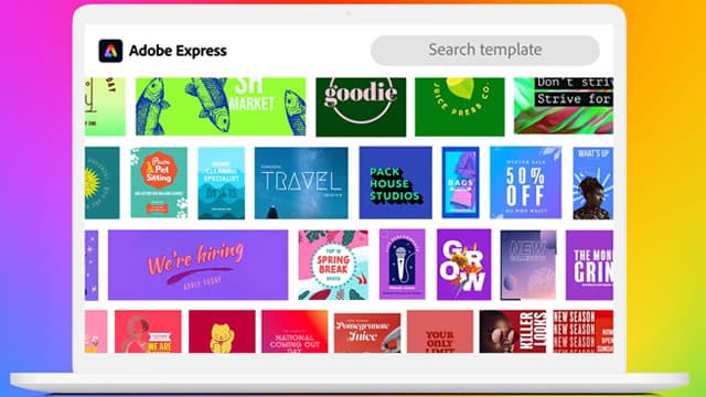 Adobe Drops 36% in a Year: Can AI Push Help the Stock Recover?