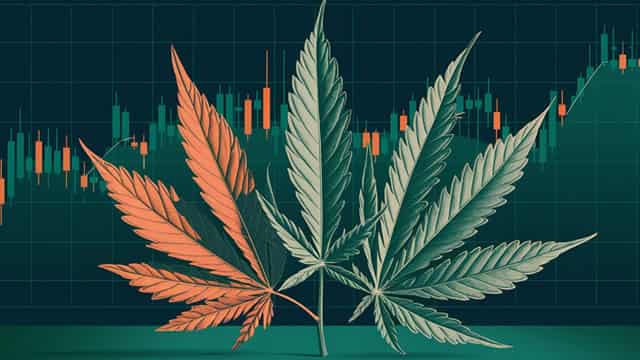 Tilray Brands Could Bounce Big