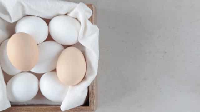 CALM Stock Sees Solid Earnings Growth on High Egg Prices & Demand