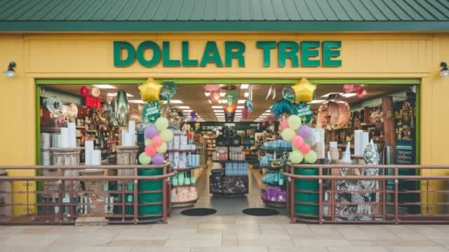 Dollar Tree's Upside Squeezed As Shoppers Seek Better Deals