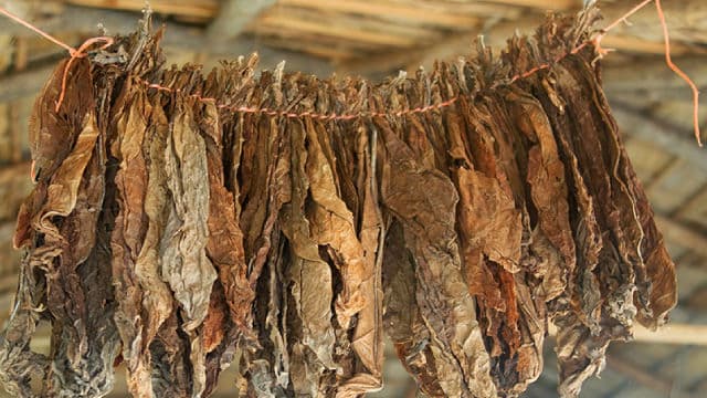 RLX Technology: Turning Positive On M&A And New Products (Rating Upgrade)