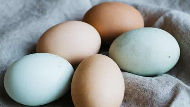 Can CALM Sustain Elevated Sales Volumes in the Coming Quarters?