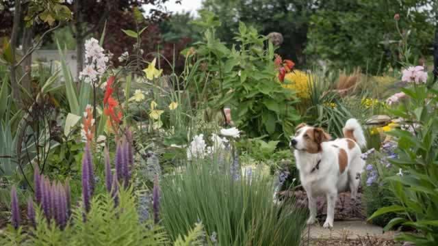 Central Garden & Pet Posts Narrower-Than-Expected Q4 Loss, Sales Rise