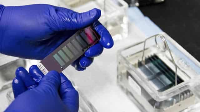 Wall Street's New Tariff Safe Haven: High-Tax Biotech Stocks