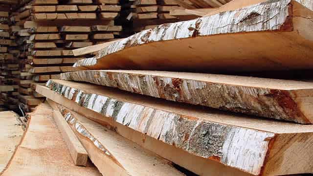 Weyerhaeuser Q3 Earnings Beat Estimates, Revenues Lag, Stock Down